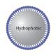 Hydrophobic Coatings