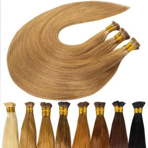 Wholesale virgin remy hair: Human Hair Mesh