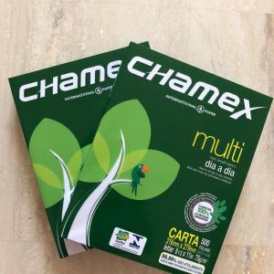 Wholesale a4: Chamex A4
