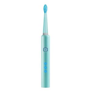 Wholesale styling brush: PT21 Oral Care Factory USB Rechargeable Powered Vibrate Automatic Sonic Electric Toothbrush