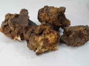 Wholesale Refractory: Dead Burned Magnesite CAS No. 1309-48-4