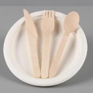 Wholesale Disposable Tableware: Compostable Sugarcane Bagasse Pulp Disposable Plate Dishes Biodegradable Food Container Tableware