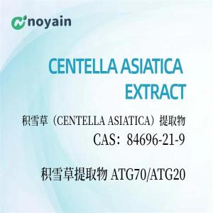 Wholesale hair product: CENTELLA ASIATICA EXTRACT Manufacturer Supply Centella Asiatica Extract High Quality