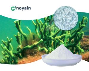 Wholesale nano sponge: Hydrolyzed Sponge Spongilla Extract Pigment Powder