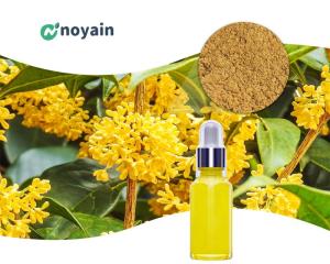 Wholesale cosmetic ingredients: OSMANTHUS FRAGRANS FLOWER EXTRACT High Quality Natural Cosmetic Ingredient