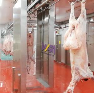 Wholesale goat casings: Sheep Abattoir Carcass Washing Machine for Slaughterhouse Line