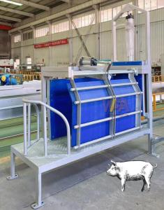 Wholesale open grid steel: Pig Abattoir Stunning Box for  Pig Slaughterhouse Equipment