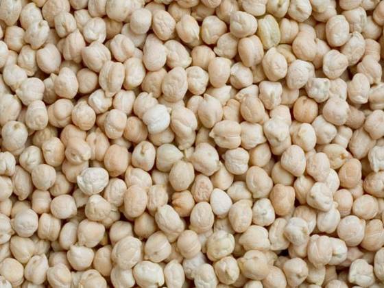 Sell Top Quality Chickpeas (Desi and  Kabuli Available)
