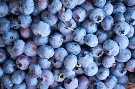 Frozen Blueberry