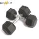 PARAGON FITNESS Dumbbells Gym Basic Equipment Solid Cast Iron Coated Hex Rubber Dumbbell