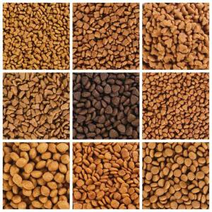 Wholesale soybean protein: ODM OEM Dry Cat Food