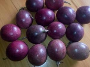 Wholesale passion fruit: Passion Fruit