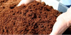 Wholesale sterilized: High Quality Black Cocoa Powder