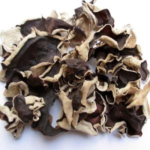 Wholesale Dried Mushrooms: Dried Mushroom