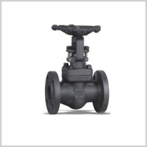Wholesale a105n: Forged Flanged Globe Valve