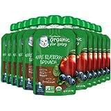 Wholesale organic foods: Gerber Organic Baby Food Pouches, 2nd Foods for Sitter, Apple Blueberry Spinach, 3.5 Ounce
