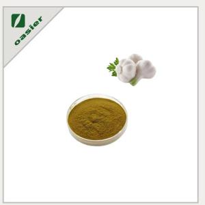 Wholesale protect liver: Garlic Extract Allicin