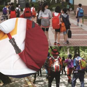 Wholesale student backpack: Shock Absorber for Backpack- BEETLE