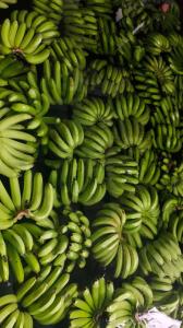 Wholesale packing box/package: Premium Cavendish Banana From Indonesia