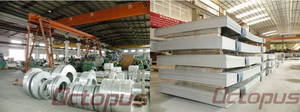 Wholesale Steel Strips: Hot Dipped Galvanized Steel Sheet / Strip