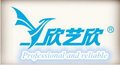 Shenzhen Xinyixin Technology Co., Ltd Company Logo