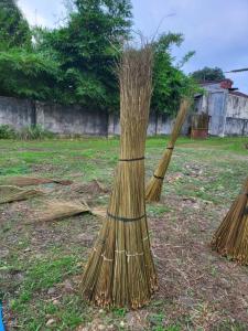 Wholesale palm ekel broomstick: Palm Ekel  Broomstick