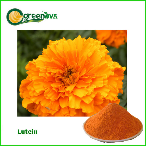 Lutein(id:9820599) Product details - View Lutein from Xi'an Ogreenova ...