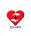 DMR Medical Import and Export Co. LTD. Company Logo