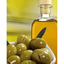 Wholesale jatropha oil: Jatropha Oil