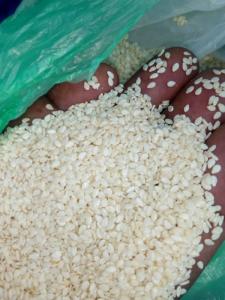 Wholesale Oil Seeds: Raw Natural White Sesame Seeds