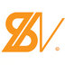 Jinan Saibainuo Technology Development Co., Ltd Company Logo