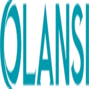 Olansinet Company Logo