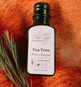 Wholesale home: Buy the Best Ever Tea Tree Oil Australia