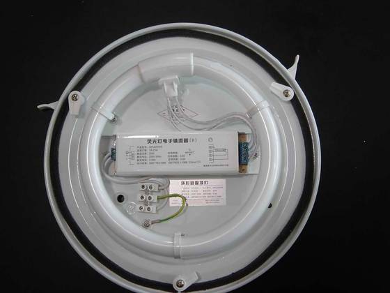 Ceiling Light In Electronical Ballast Id 642559 Product Details