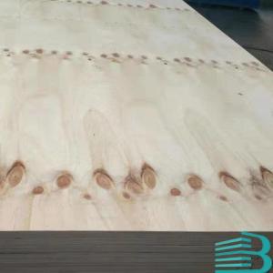 Wholesale common nail: CDX Pine Plywood for Roofing and Construction and Outside Use