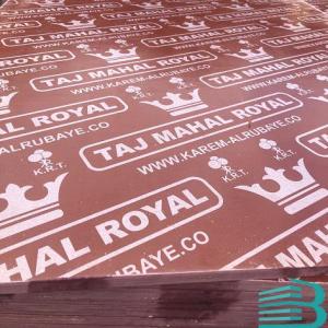 Wholesale commercial vertical: Red Film Faced Plywood