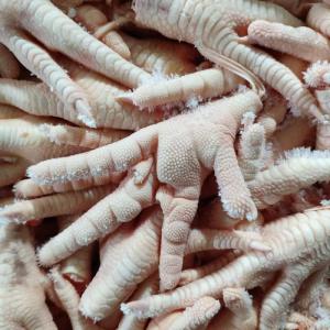 Wholesale chicken paw: Chicken Feet and Paws From Brazil SIF Plant