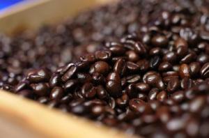 Wholesale supplies for ship: Robusta Coffee - Cameroon Coffee