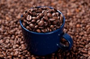 Wholesale Bean Products: Arabica Coffee Beans - Cameroon Quality Coffee Beans