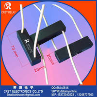 High Voltage Reed Relay CRSTHV