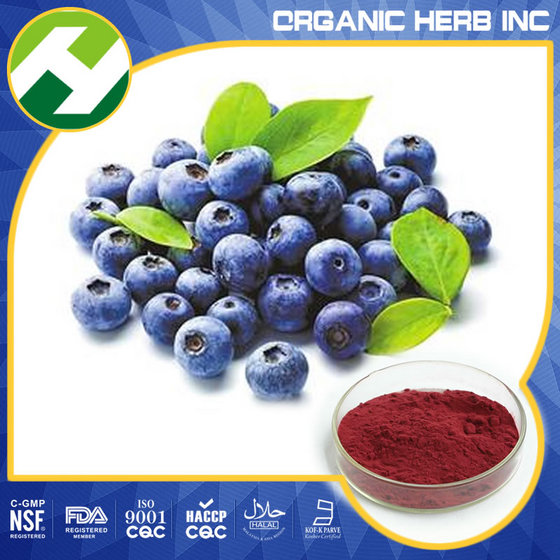 Bilberry Extract 15 Anthocyanin Id 10542381 Buy China Bilberry Extract Anthocyanin European Bilberry Extract Ec21