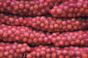 Wholesale egypt: Fresh Red Onion From Egypt To European /2021