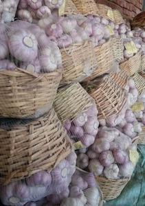Wholesale herbes: New Crop 2021 Delicious Fresh Garlic, Super Garlic