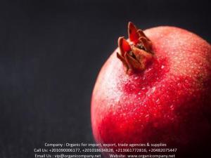 Wholesale packing box: Egyptian Fresh Pomegranate 2021 Wonderful and Sour Pomegranates, Best Price