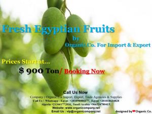 Wholesale carton: All Kind of Egyptian Mango , Fresh Egypt Mango, Crop 2021