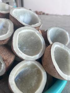 Wholesale can: Coconut Copra Pieces for Coconut Oil Extraction