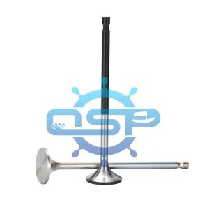 Wholesale engineering valves: Marine Diesel Engine Parts Intake Valve & Exhaust Valve for Daihatsu DK20