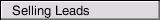 Selling Leads