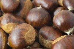 Wholesale organic: Organic Fresh Chestnuts At Cheap Price