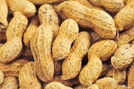 Wholesale peanut: Peanuts in Shell
